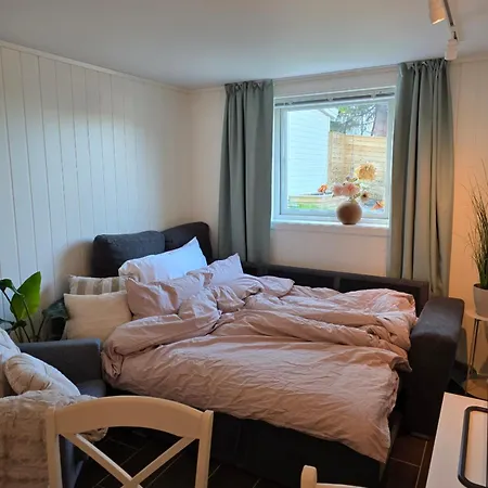 Cozy Apartment, No Parking November To April Apartment