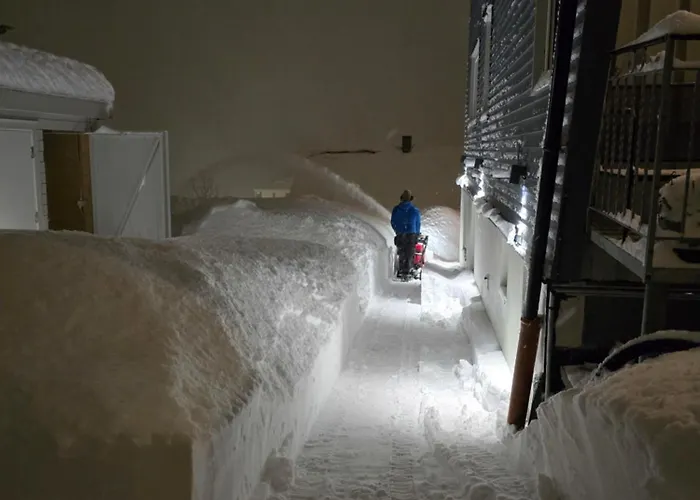 Cozy Apartment, No Parking November To April *