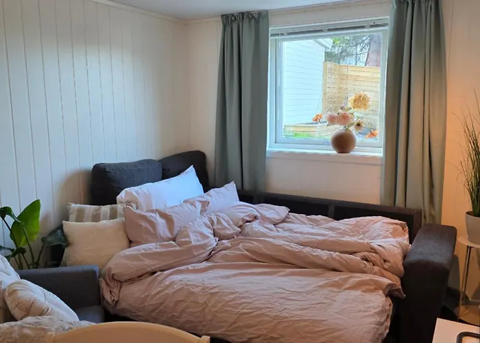 Cozy Apartment, No Parking November To April 아파트